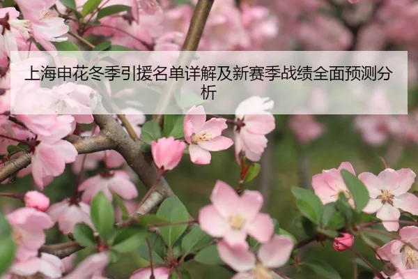 上海申花冬季引援名单详解及新赛季战绩全面预测分析